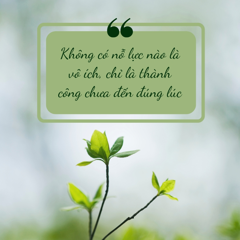 Đôi khi, chỉ một câu nói truyền động lực cũng đủ thay đổi cả ngày dài