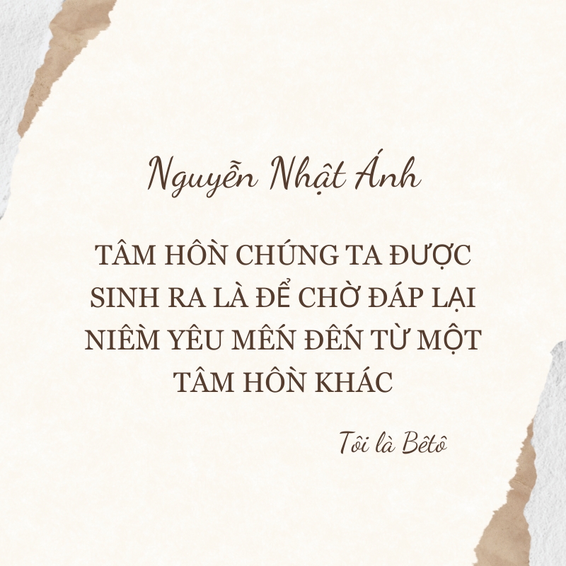 Khám phá những câu văn hay của Nguyễn Nhật Ánh, giản dị mà đầy ý nghĩa