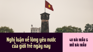 40 Bài viết mẫu nghị luận về tình yêu quê hương đất nước